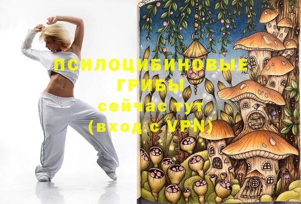 MDMA Premium VHQ Медвежьегорск