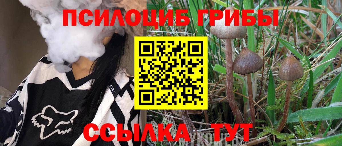 Назрань  Псилоцибиновые грибы мицелий  Галлюциногенные грибы мухоморы  Вход с VPN 