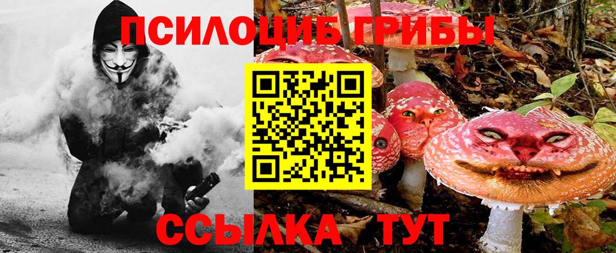 Псилоцибиновые грибы Magic Shrooms  Назрань 