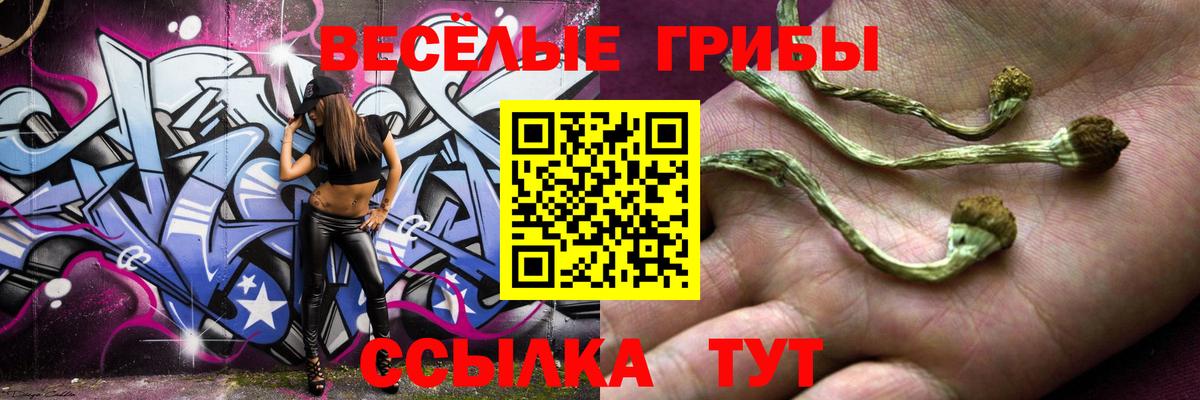 Галлюциногенные грибы прущие грибы Назрань
